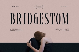Bridgestom - A Condensed Serif Typeface Font Download