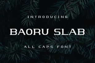 Baoru Slab Font Download