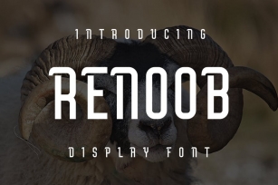 Renoob Font Download