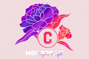 Carnation Mono Font Download