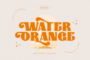 Water Orange Font Download
