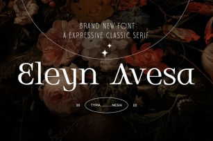 Eleyn Avesa - Classic Elegant Display Serif Font Download