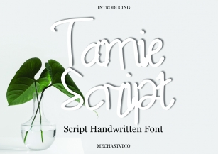 Tamie Script Font Download