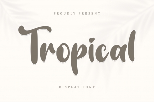 Tropical Display Font Download