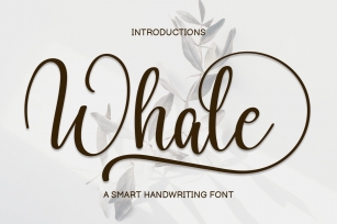 Whale Font Download