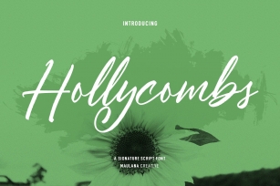 Hollycombs Script Font Download