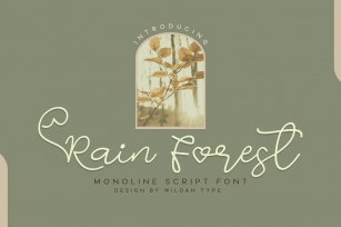 Rain Fores Font Download