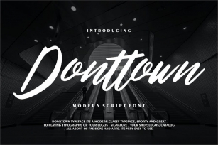 Donttown | Modern Script Font Font Download