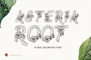 Asteria Root Font Download