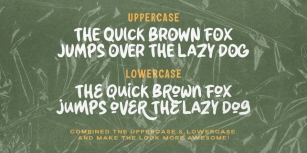 Holly Journey Font Download