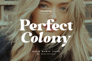 Perfect Colony Bold Serif Font Download