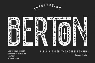 BERTON Font Download