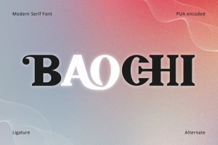 Baochi Font Download
