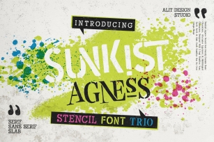 Sunkist Agness Typeface Font Download