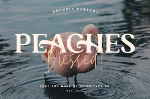 Peaches Blessed Duo Font Download