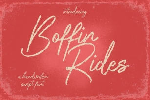 Boffin Rides Font Download