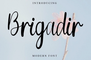 Brigadir Font Download