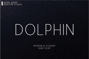 Dolphin Font Download