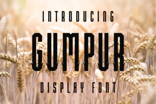 Gumpur Font Font Download