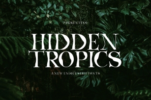 Hidden Tropics Font Download
