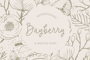 Bayberry Font Download