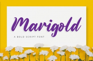 Marigold Font Download