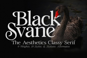 Black Svane Font Download