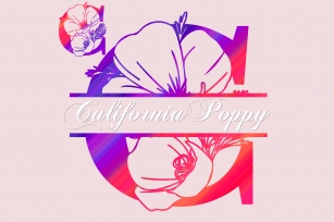 California Poppy Split Font Download