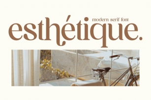 Esthetique Modern Serif Font Font Download