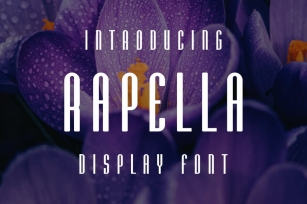 Rapella Font Font Download