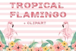 Tropical Flamingo Font Download