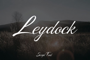 Leydock Script Font Font Download