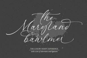 Maryland Bawlmer -modern and luxurious calligraphy Script Font Download