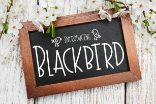 Blackbird Font Download