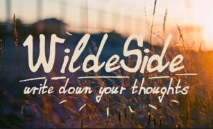 Wildeside Font Download