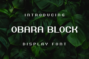 Obara Block Font Font Download