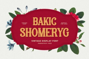 Bakic Shomer - Vintage Cursive Font Font Download