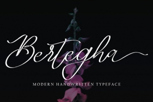 Bertegha Font Download