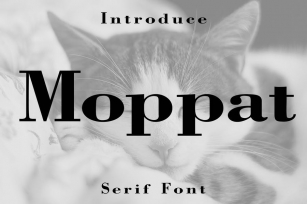 Moppat Serif Font Font Download