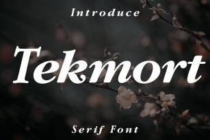 Tekmort Serif Font Font Download