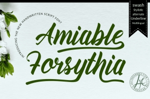 Amiable Forsythia Font Download