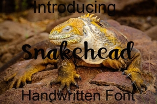 Snakehead Font Download