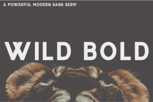 Wild Bold Font Download