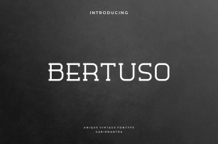 Bertuso Font Download