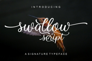 Swallow Script Font Download
