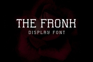 The Fronk - Display font Font Download