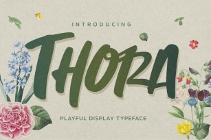 Thora -  Playful Display Font Font Download