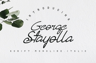 George Stayolla Font Font Download