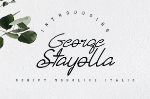 George Stayolla nd Font Font Download