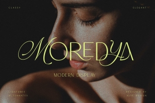 Moredya Typeface Font Download